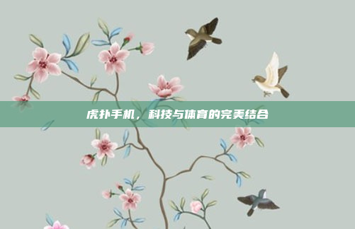 虎扑手机,科技与体育的完美结合