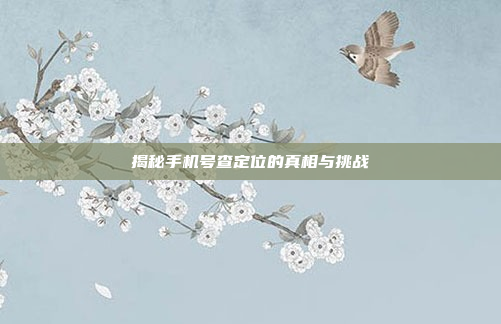 揭秘手机号查定位的真相与挑战
