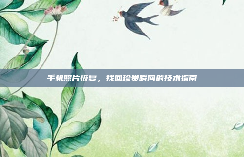 手机照片恢复,找回珍贵瞬间的技术指南