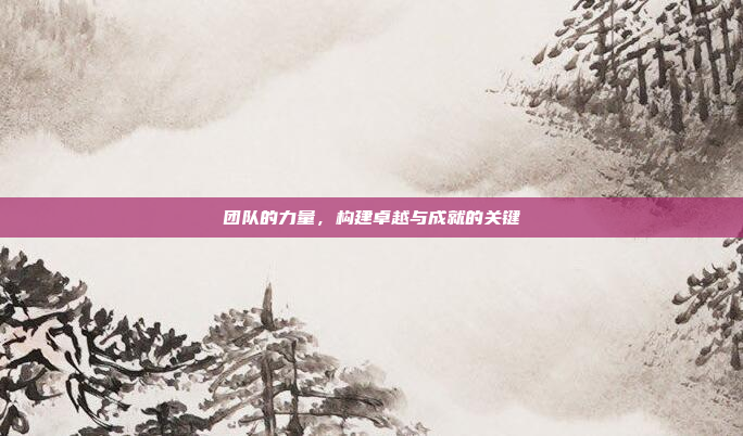 团队的力量,构建卓越与成就的关键