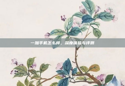 一加手机怎么样,深度体验与评测