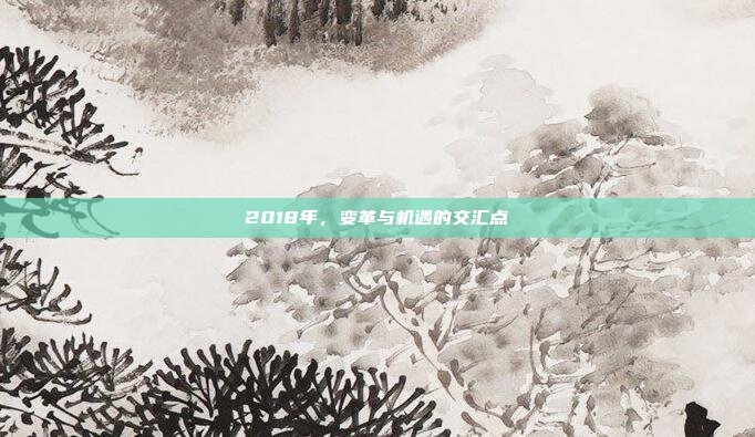 2018年,变革与机遇的交汇点