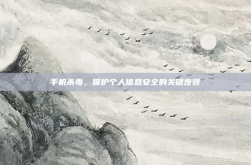 手机杀毒,保护个人信息安全的关键步骤