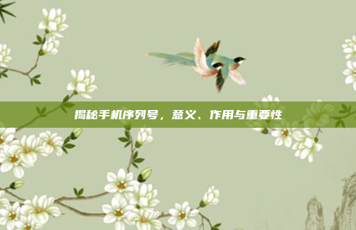 揭秘手机序列号,意义、作用与重要性