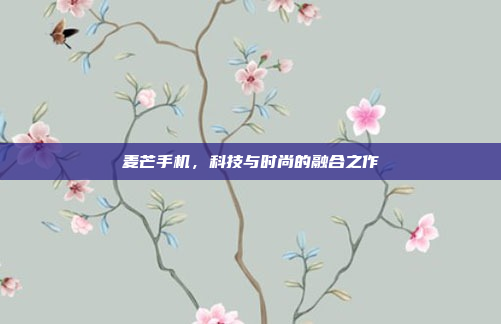 麦芒手机,科技与时尚的融合之作
