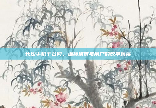 长沙手机平台网,连接城市与用户的数字桥梁