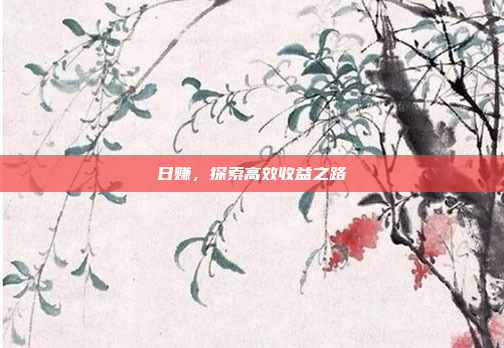 日赚,探索高效收益之路