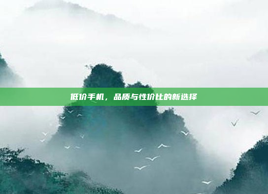 低价手机,品质与性价比的新选择