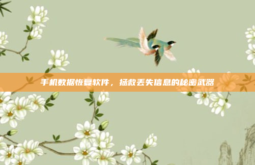 手机数据恢复软件,拯救丢失信息的秘密武器