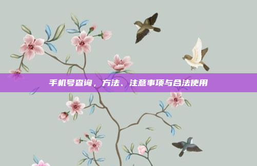 手机号查询,方法、注意事项与合法使用