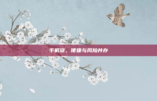 手机贷，便捷与风险并存