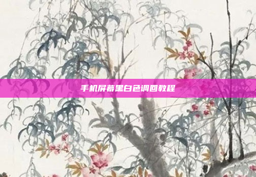 手机屏幕黑白色调回教程