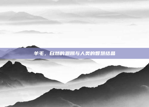 羊毛,自然的恩赐与人类的智慧结晶