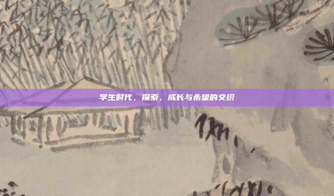 学生时代，探索、成长与希望的交织