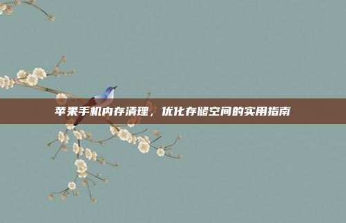 苹果手机内存清理,优化存储空间的实用指南