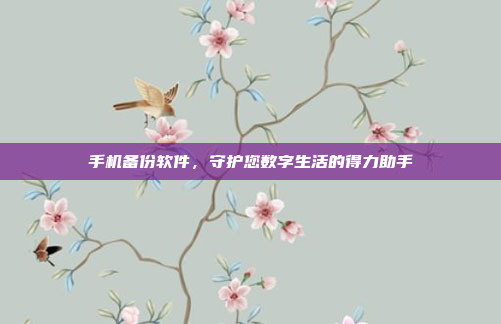 手机备份软件，守护您数字生活的得力助手