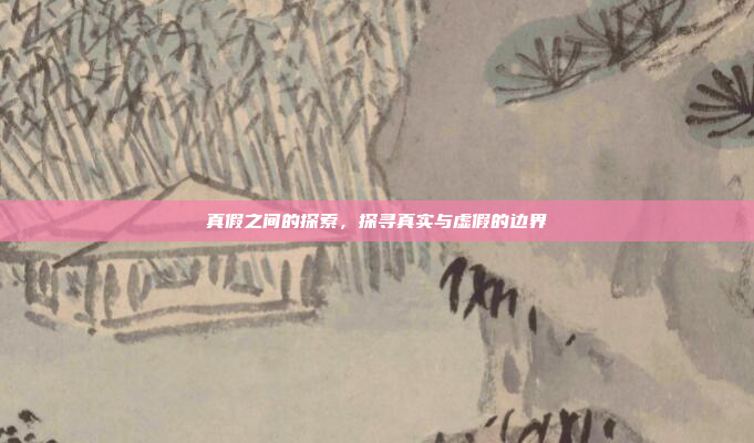 真假之间的探索，探寻真实与虚假的边界