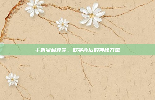 手机号码算命,数字背后的神秘力量