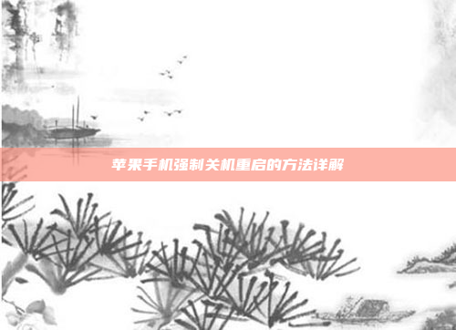 苹果手机强制关机重启的方法详解