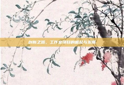 创新之路,工作室项目的崛起与发展