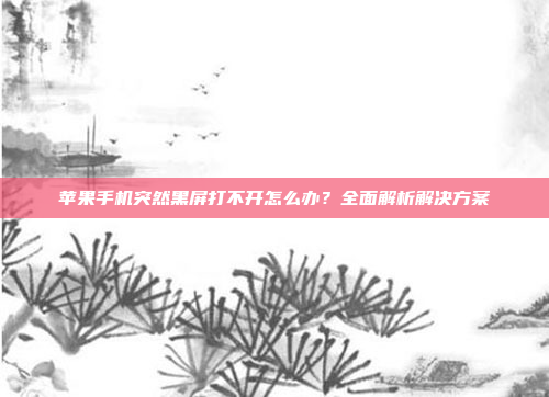 苹果手机突然黑屏打不开怎么办?全面解析解决方案