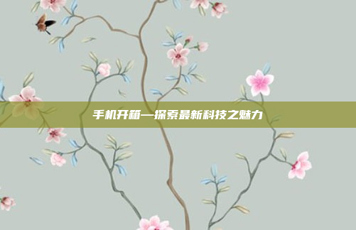 手机开箱—探索最新科技之魅力