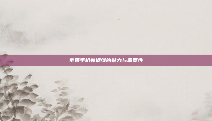 苹果手机数据线的魅力与重要性