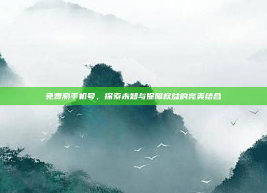 免费测手机号,探索未知与保障权益的完美结合