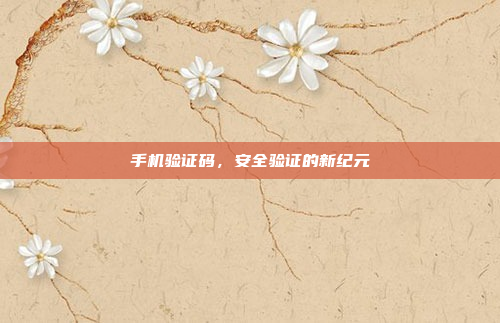 手机验证码,安全验证的新纪元