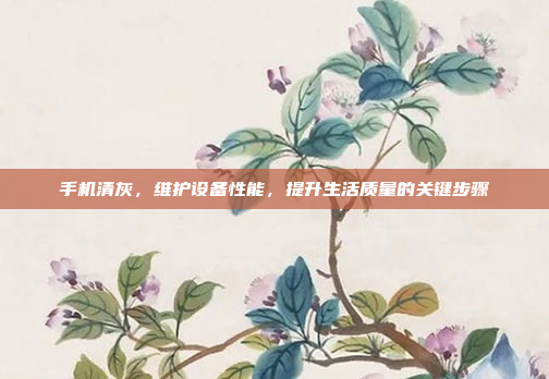 手机清灰，维护设备性能，提升生活质量的关键步骤
