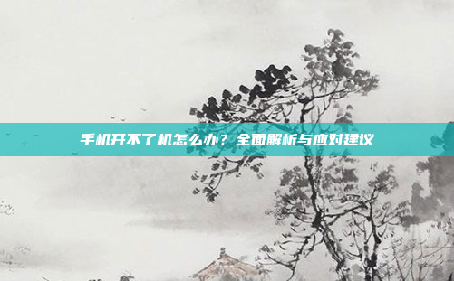 手机开不了机怎么办?全面解析与应对建议