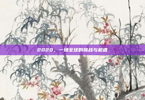 2020,一场全球的挑战与机遇