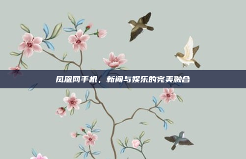 凤凰网手机，新闻与娱乐的完美融合